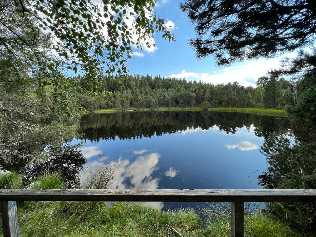 Apartment Annis Panoramablick Pool Sauna Tennis Schonach im Schwarzwald Buitenkant foto