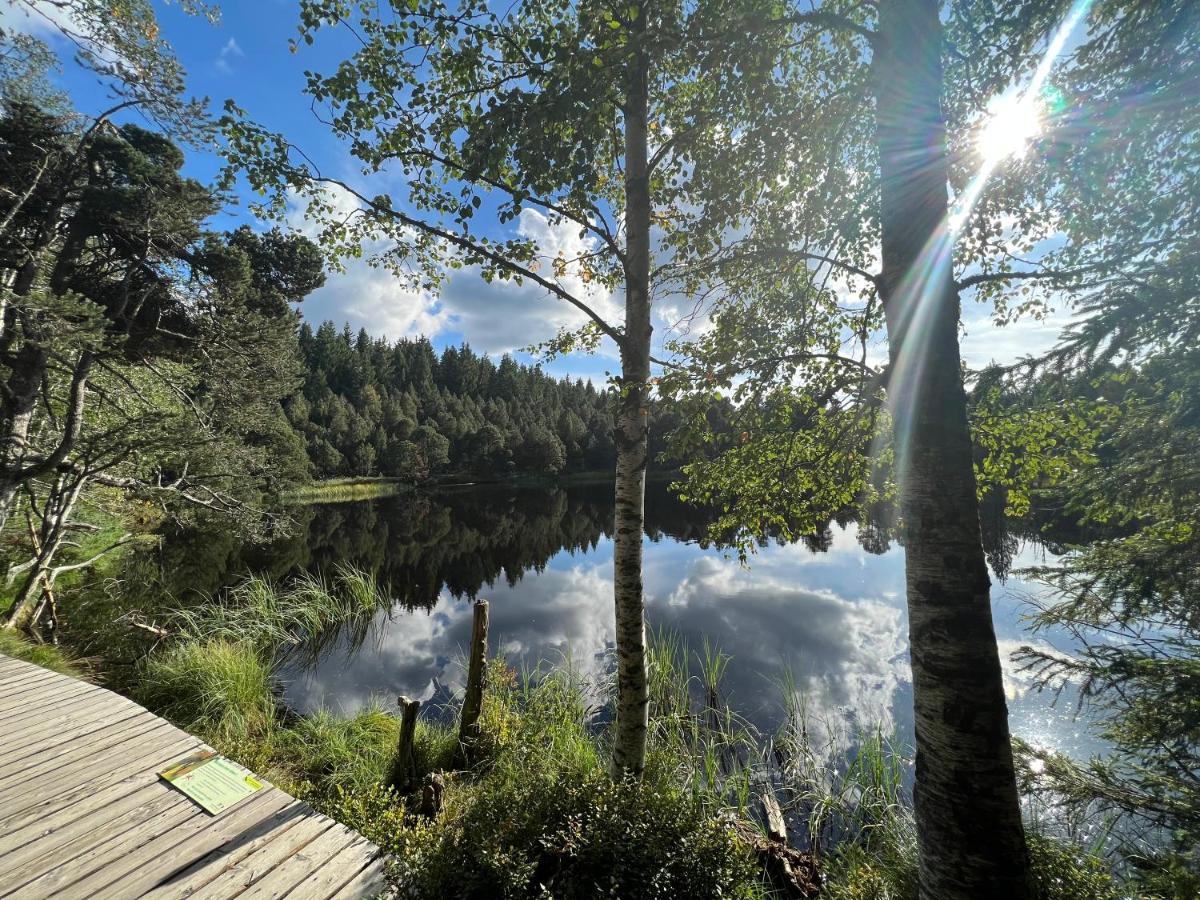 Apartment Annis Panoramablick Pool Sauna Tennis Schonach im Schwarzwald Buitenkant foto