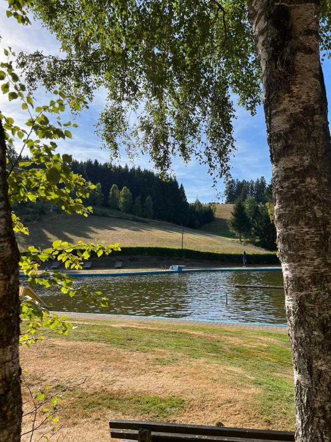 Apartment Annis Panoramablick Pool Sauna Tennis Schonach im Schwarzwald Buitenkant foto